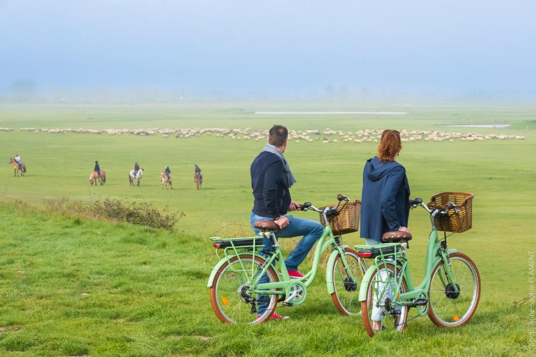 Photo of Others in Saint-Valery-sur-Somme