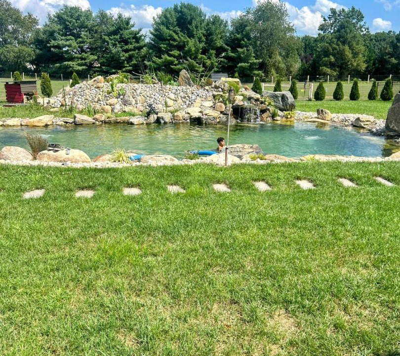 Photo of Others in Norma