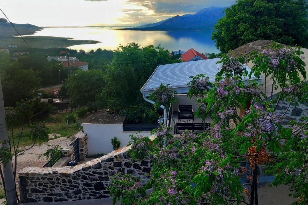 Photo of Others in Rovanjska