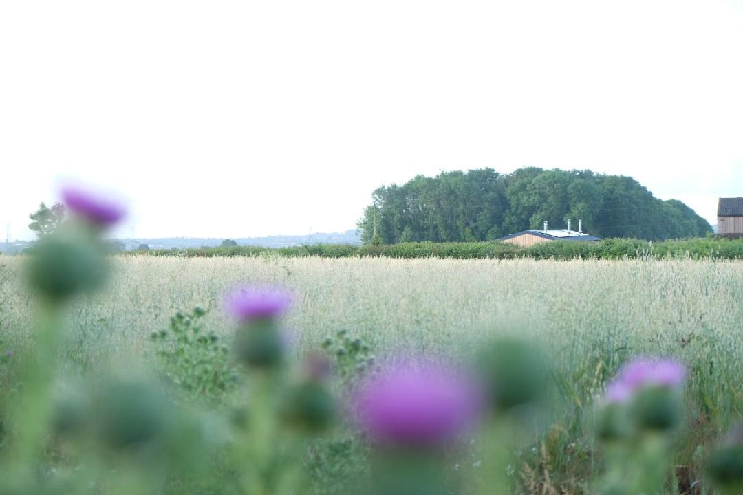 Photo of Others in Waterlooville