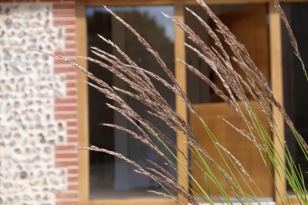 Photo of Others in Waterlooville