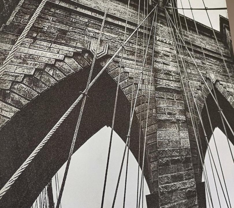 Photo of Others in Saint-Julien-en-Genevois