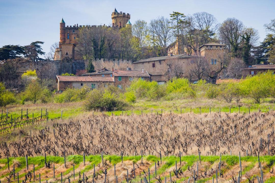 Photo of Others in Rivolet