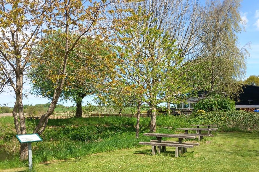 Photo of Others in Molby