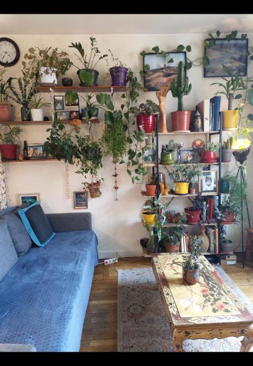 Photo of Livingroom in Arcueil