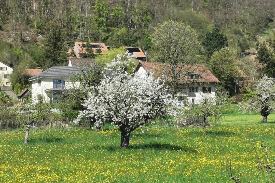 Photo of Others in Himmelried