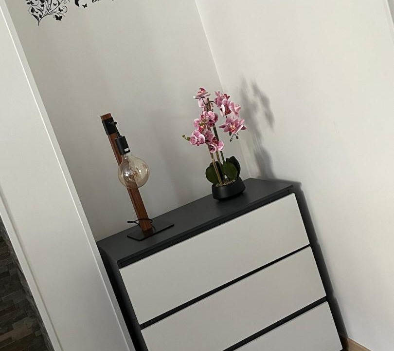 Photo of Others in Proverville