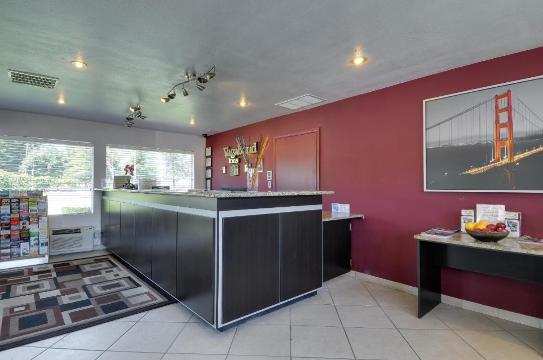 Photo of Others in Snail