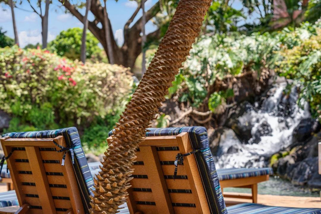 Photo of Others in Kahana