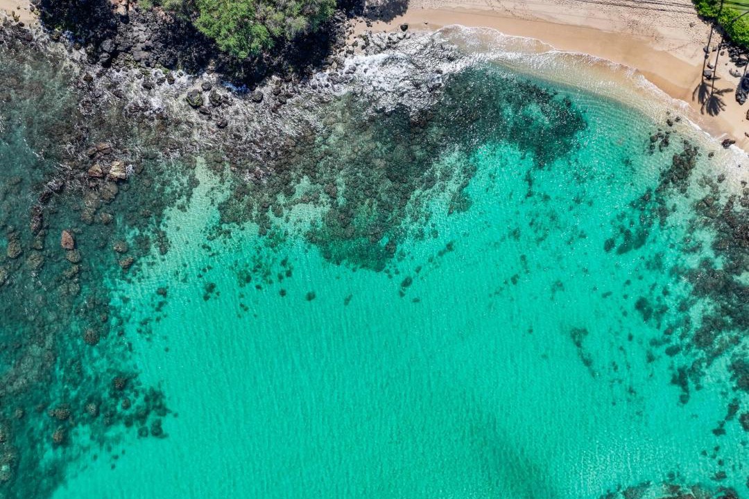 Photo of Others in Kahana