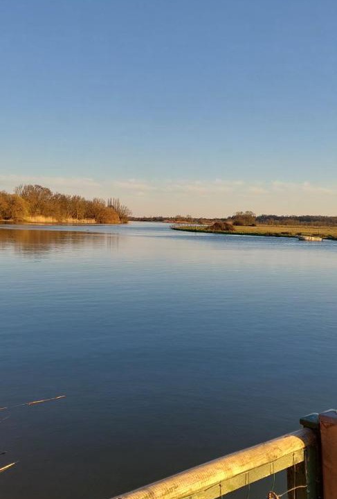 Photo of Others in Bords