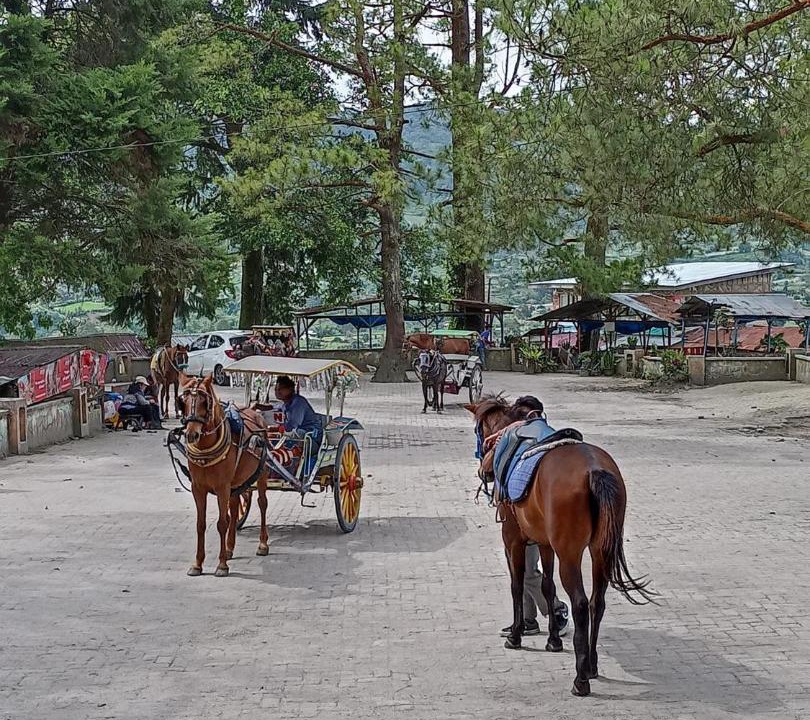Photo of Others in Berastagi