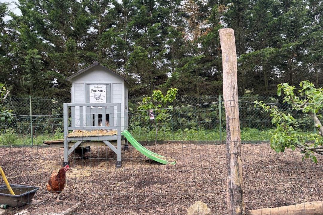 Photo of Others in Carcassonne