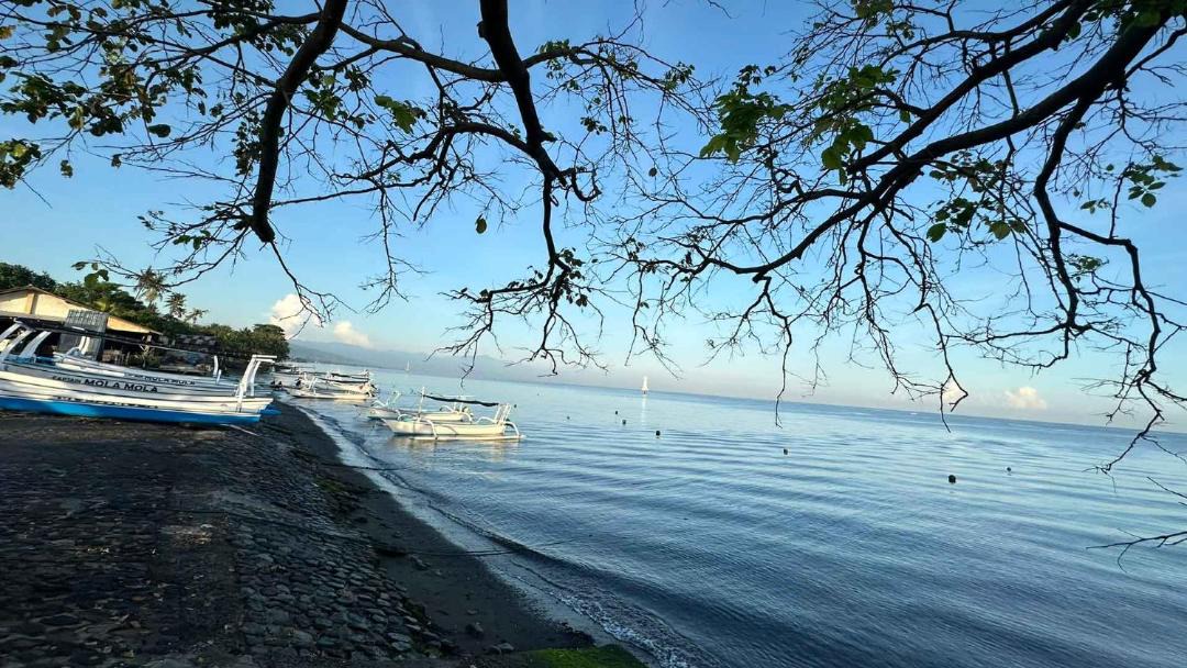 Photo of Others in Pemaron