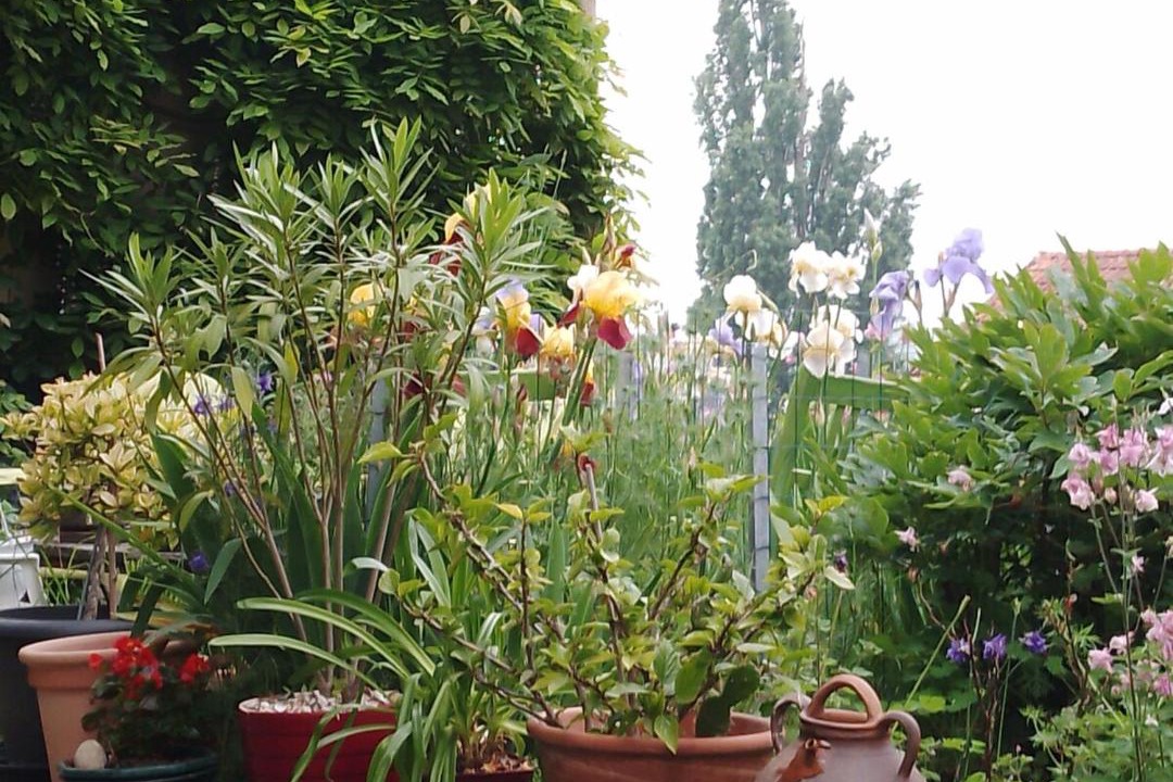 Photo of Others in Fontenay-pres-Vezelay