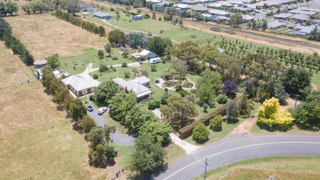 Photo of Others in Canobolas