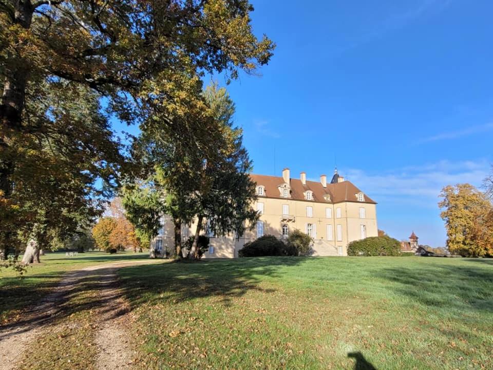 Photo of Others in Musigny