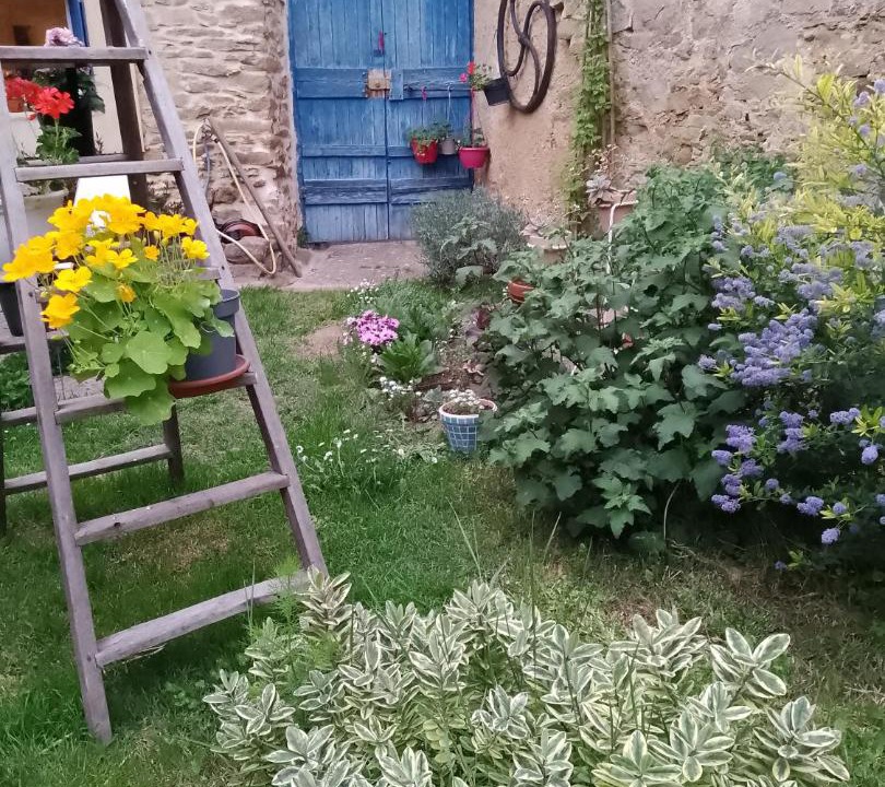 Photo of Others in Magrie