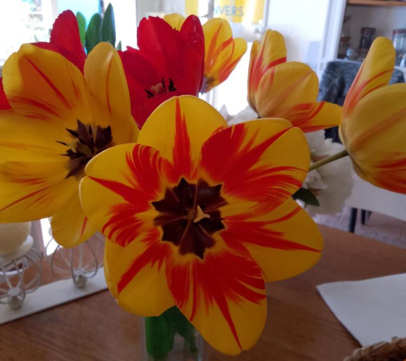 Photo of Others in Magrie