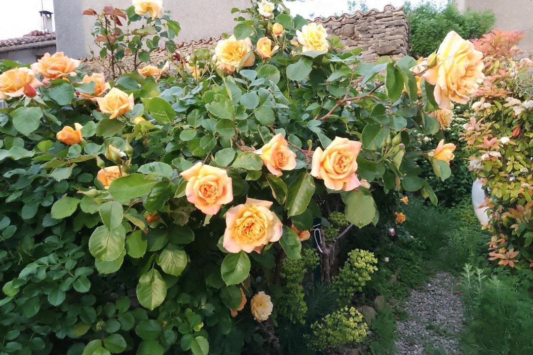 Photo of Others in Magrie