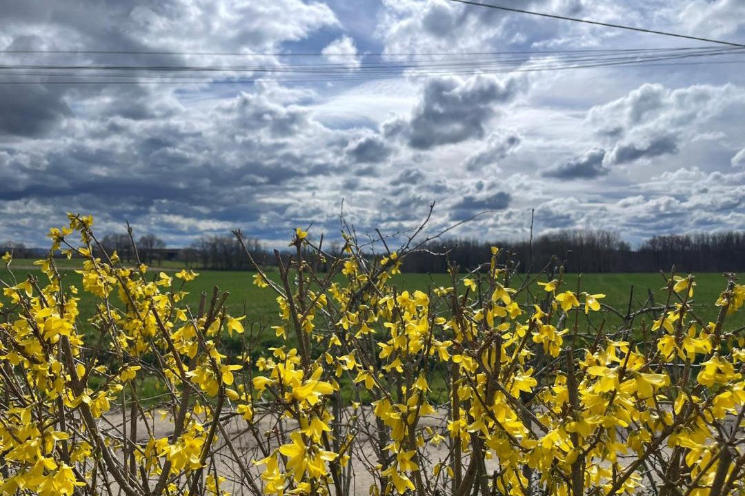 Photo of Others in Montjay