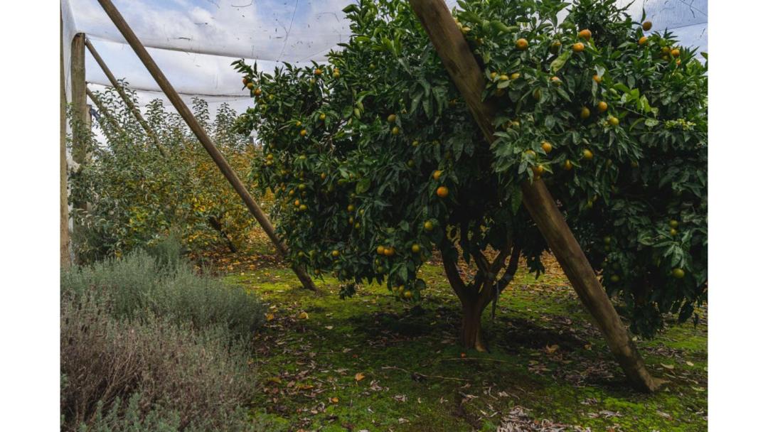 Photo of Outdoor in Yarra Junction