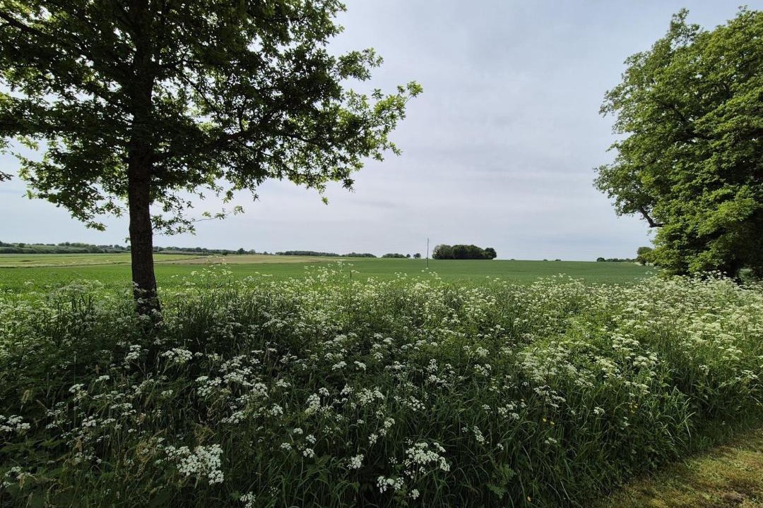 Photo of Others in Saint-Fulgent