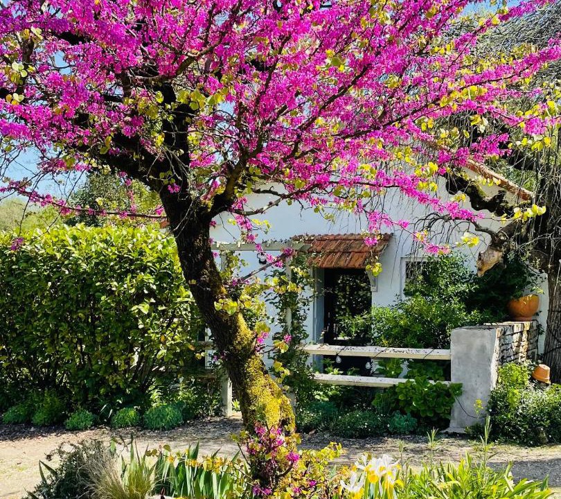 Photo of Others in Corme Ecluse