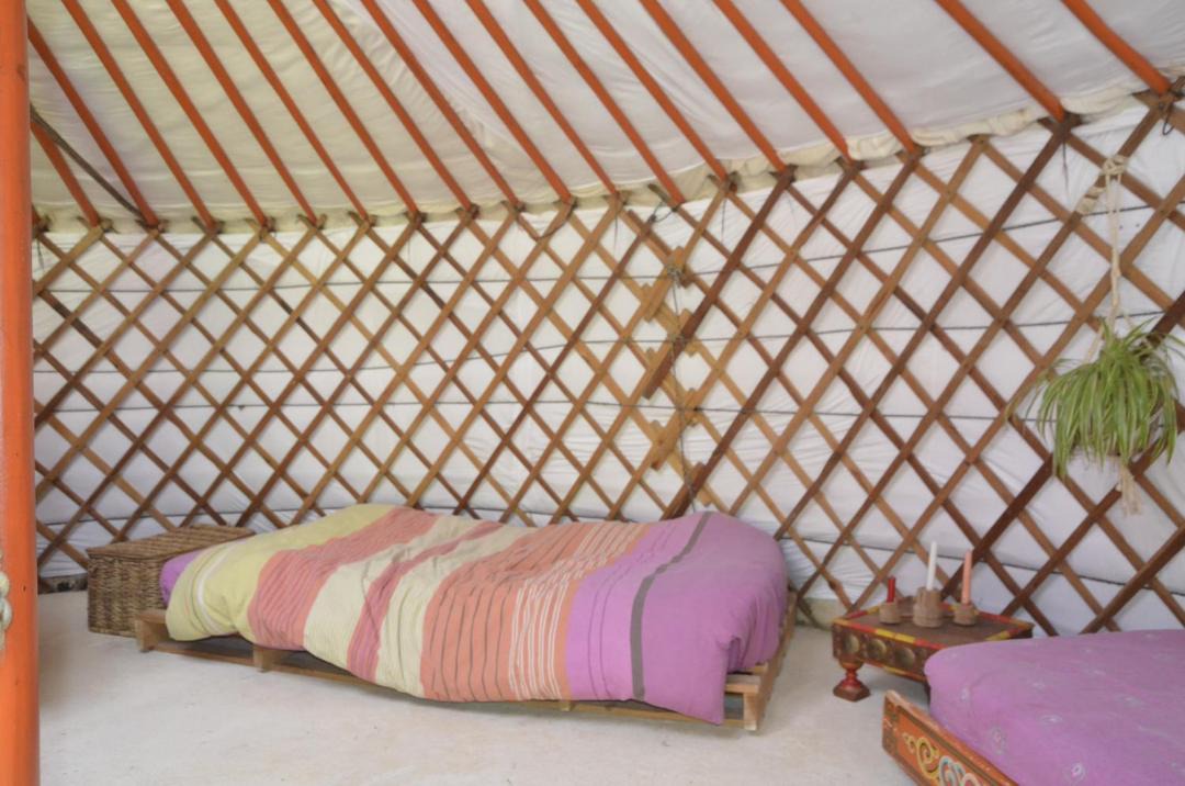 Photo of Others in Sost