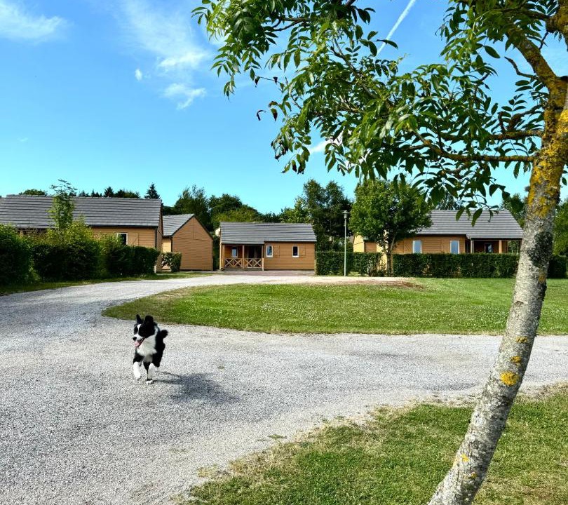 Photo of Others in Soligny-la-Trappe