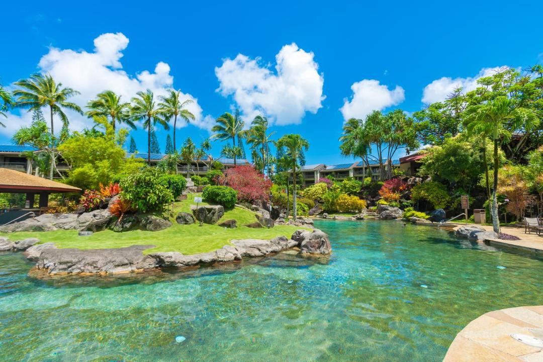 Photo of Others in Princeville