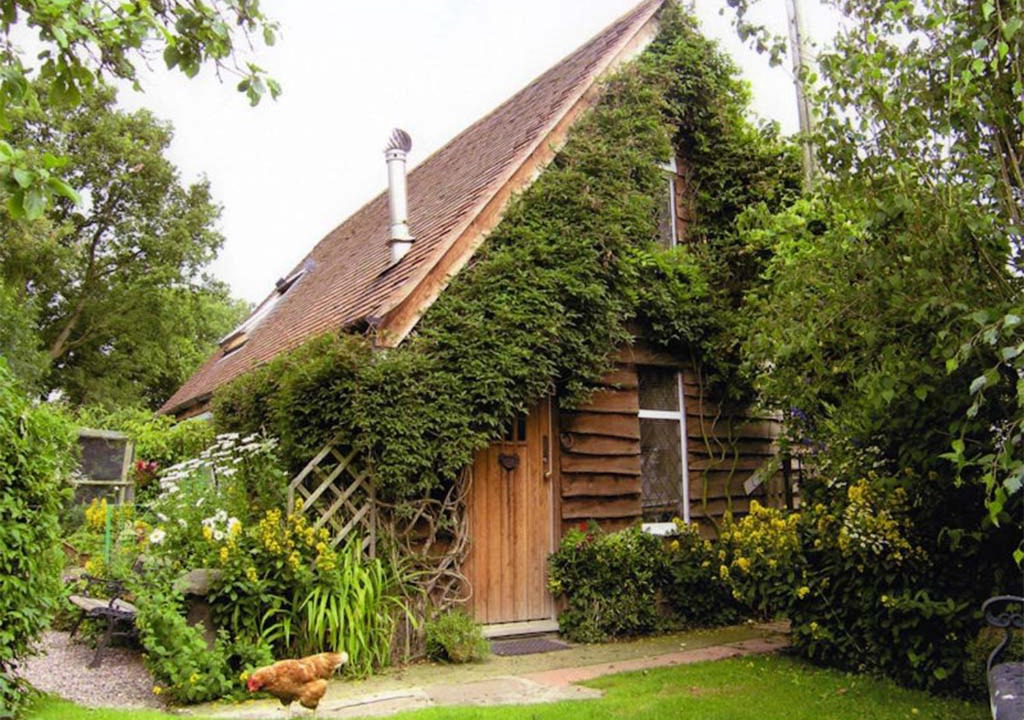 Photo of Others in Halfway House