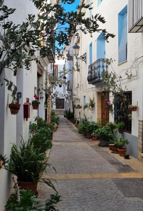 Photo of Others in Algar de Palancia