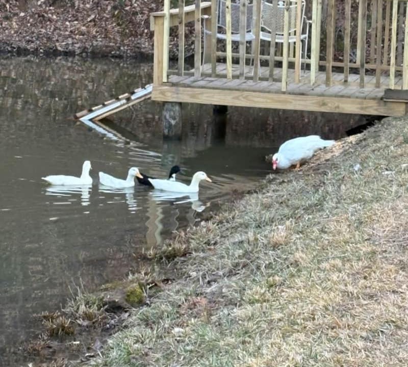 Photo of Others in Beattyville