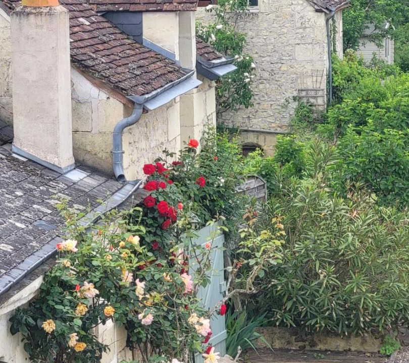 Photo of Others in La Chapelle-aux-Naux