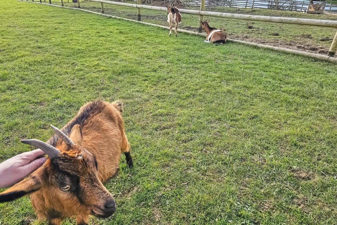 Photo of Others in Litteau