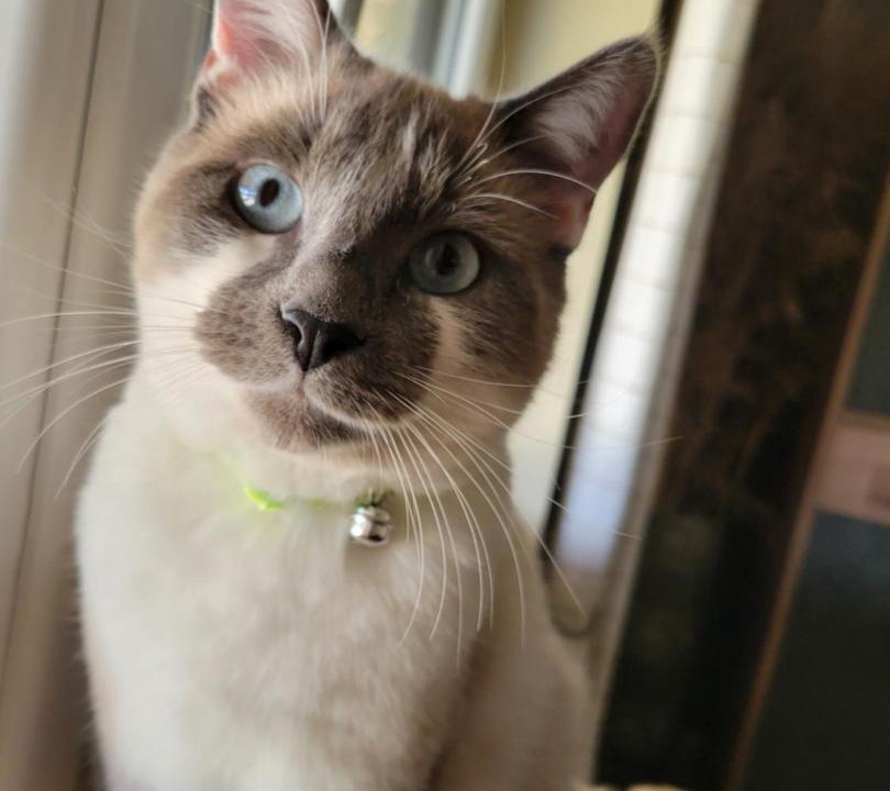 Photo of Others in Sergeac