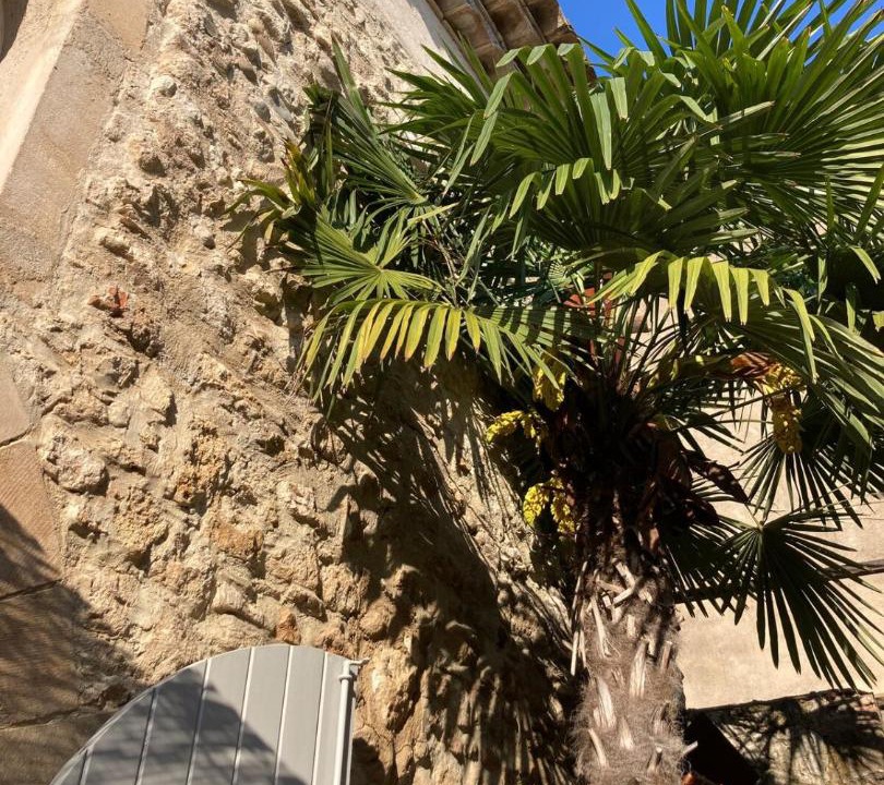 Photo of Others in La Roque-d'Antheron