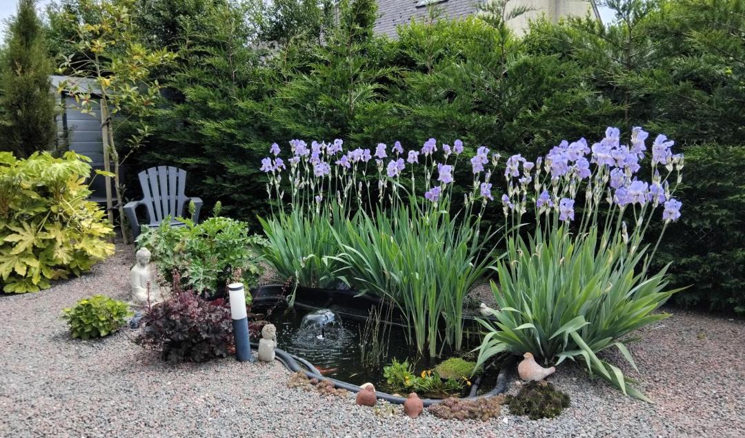 Photo of Others in Lassay-les-Chateaux