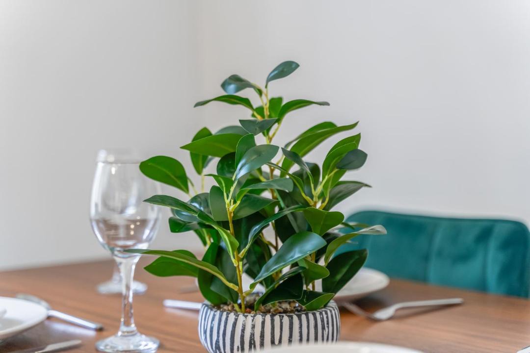 Photo of Others in Newport