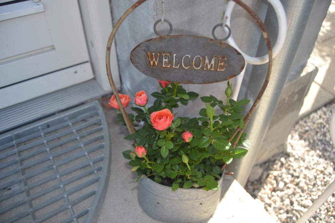 Photo of Others in Lystrup