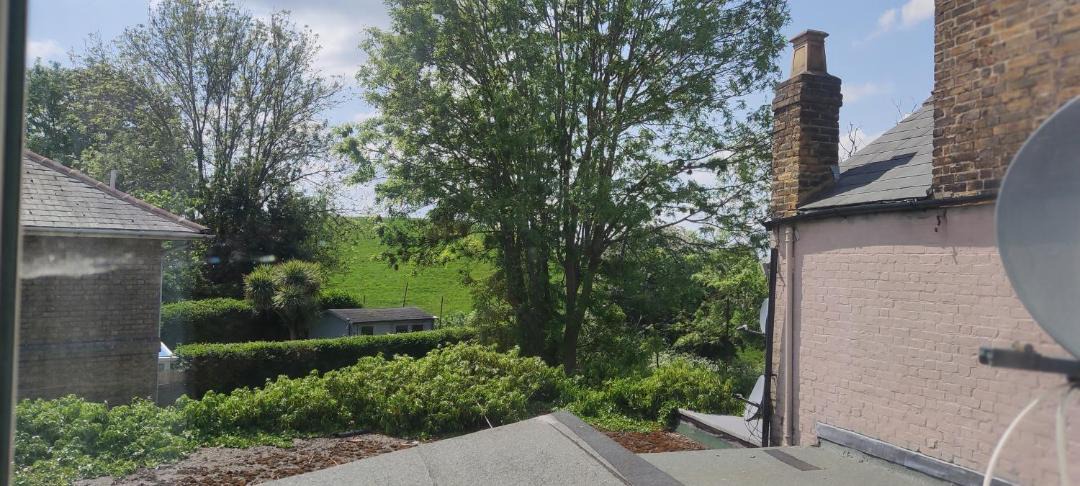 Photo of Others in Peckham Rye