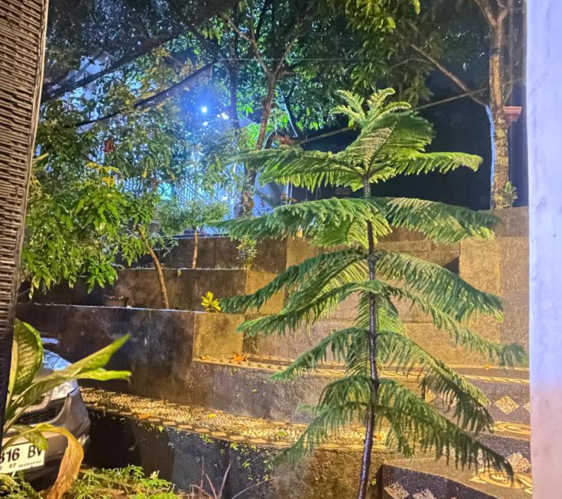 Photo of Others in Selong Belanak