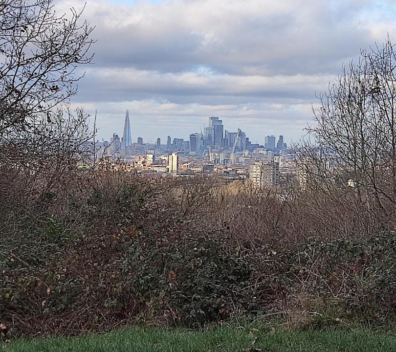 Photo of Others in Peckham Rye