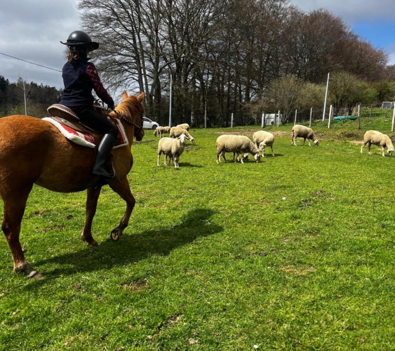 Photo of Others in La Salvetat-sur-Agout