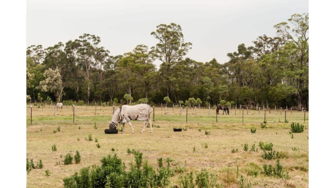 Photo of Others in Cessnock