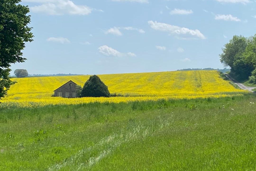 Photo of Others in Courmont