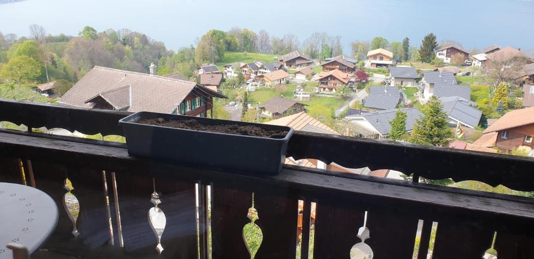 Photo of Others in Krattigen