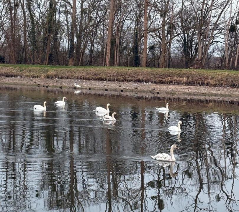 Photo of Others in Digoin