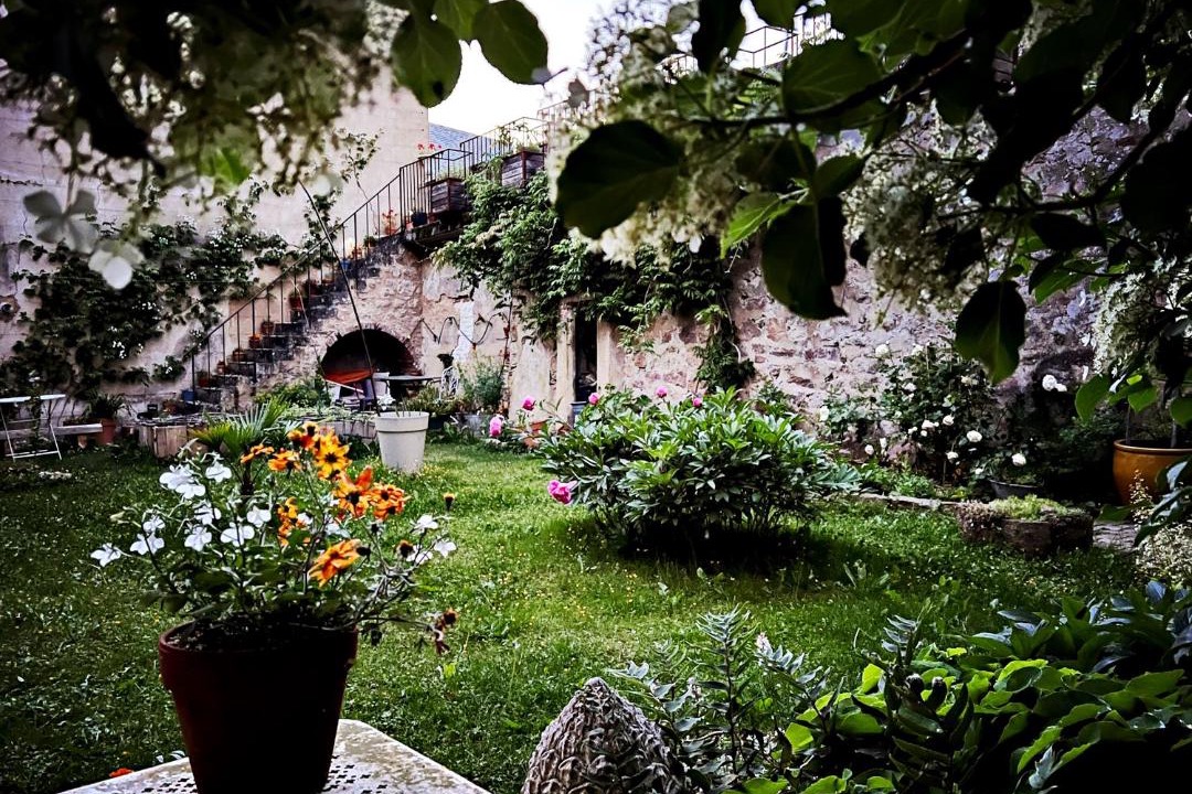 Photo of Others in Avallon